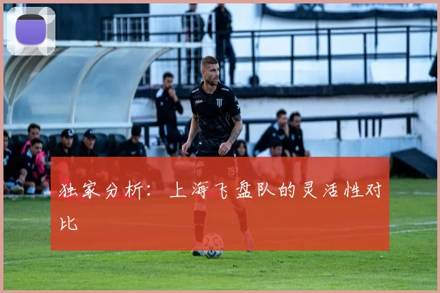 独家分析：上海飞盘队的灵活性对比