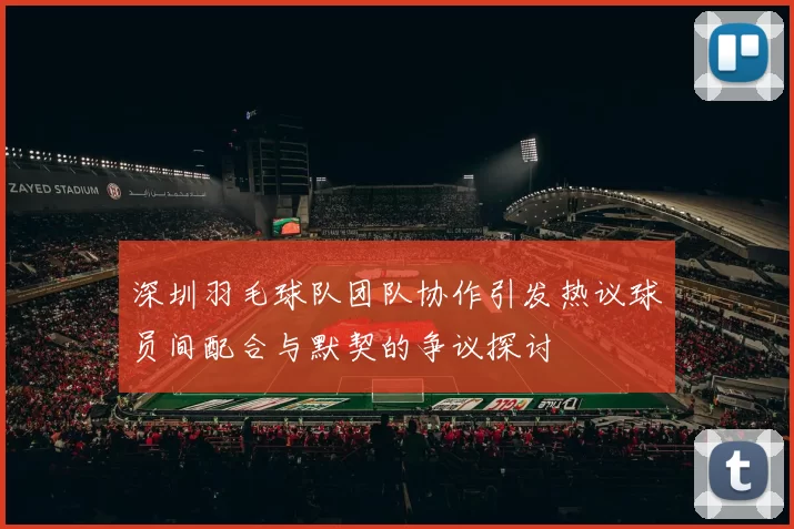 深圳羽毛球队团队协作引发热议球员间配合与默契的争议探讨