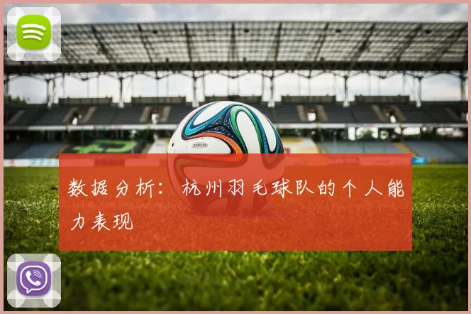 数据分析：杭州羽毛球队的个人能力表现
