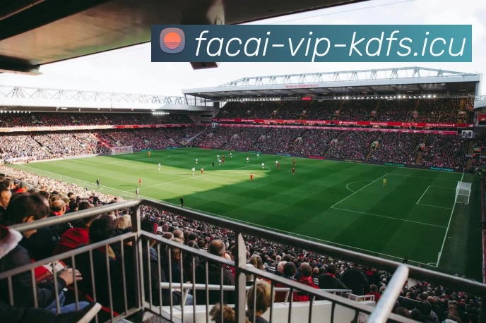 开云体育注册平台生态图